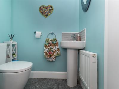 Picture 15